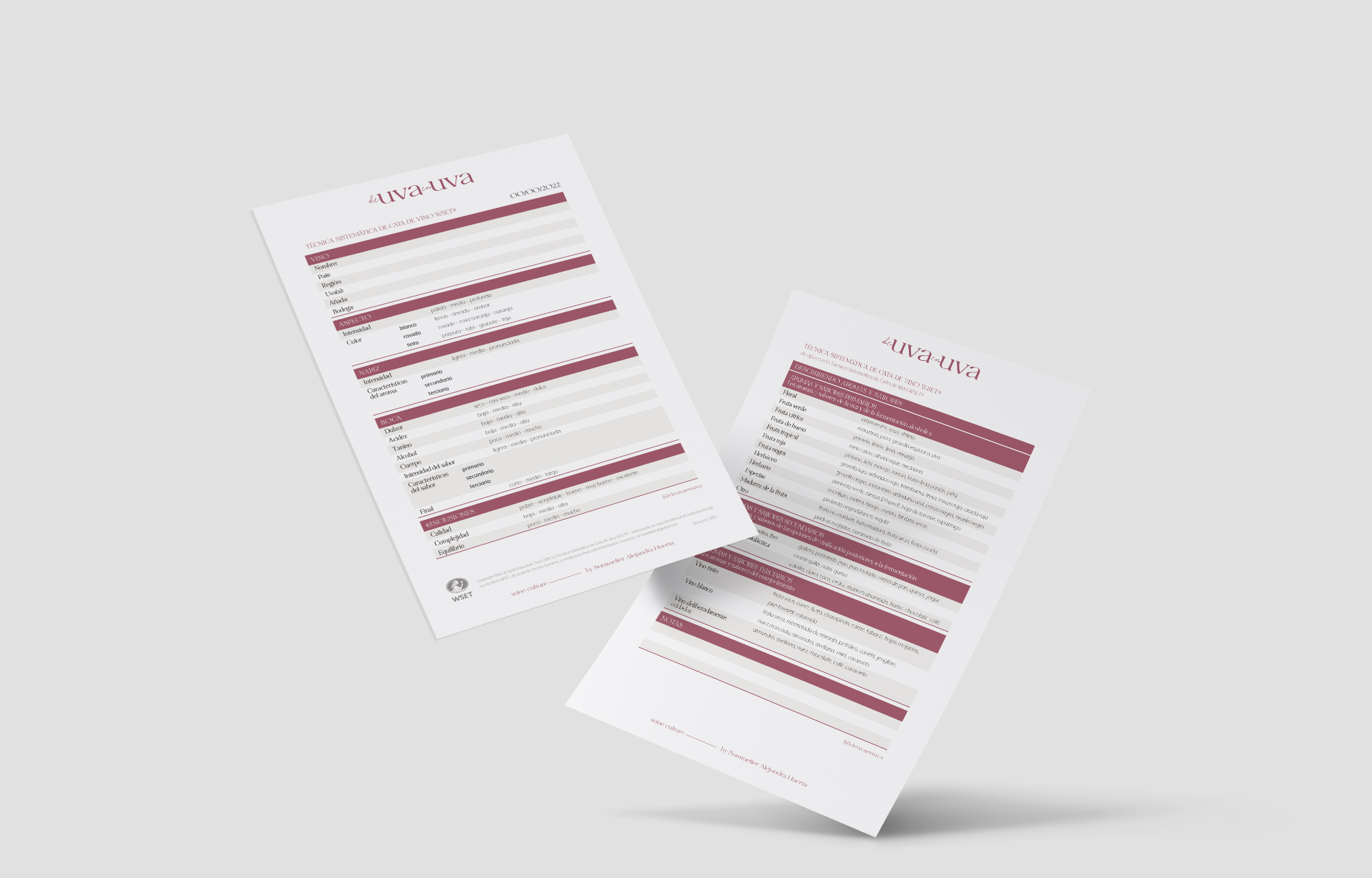 Francia Serrano Studio Proyectos