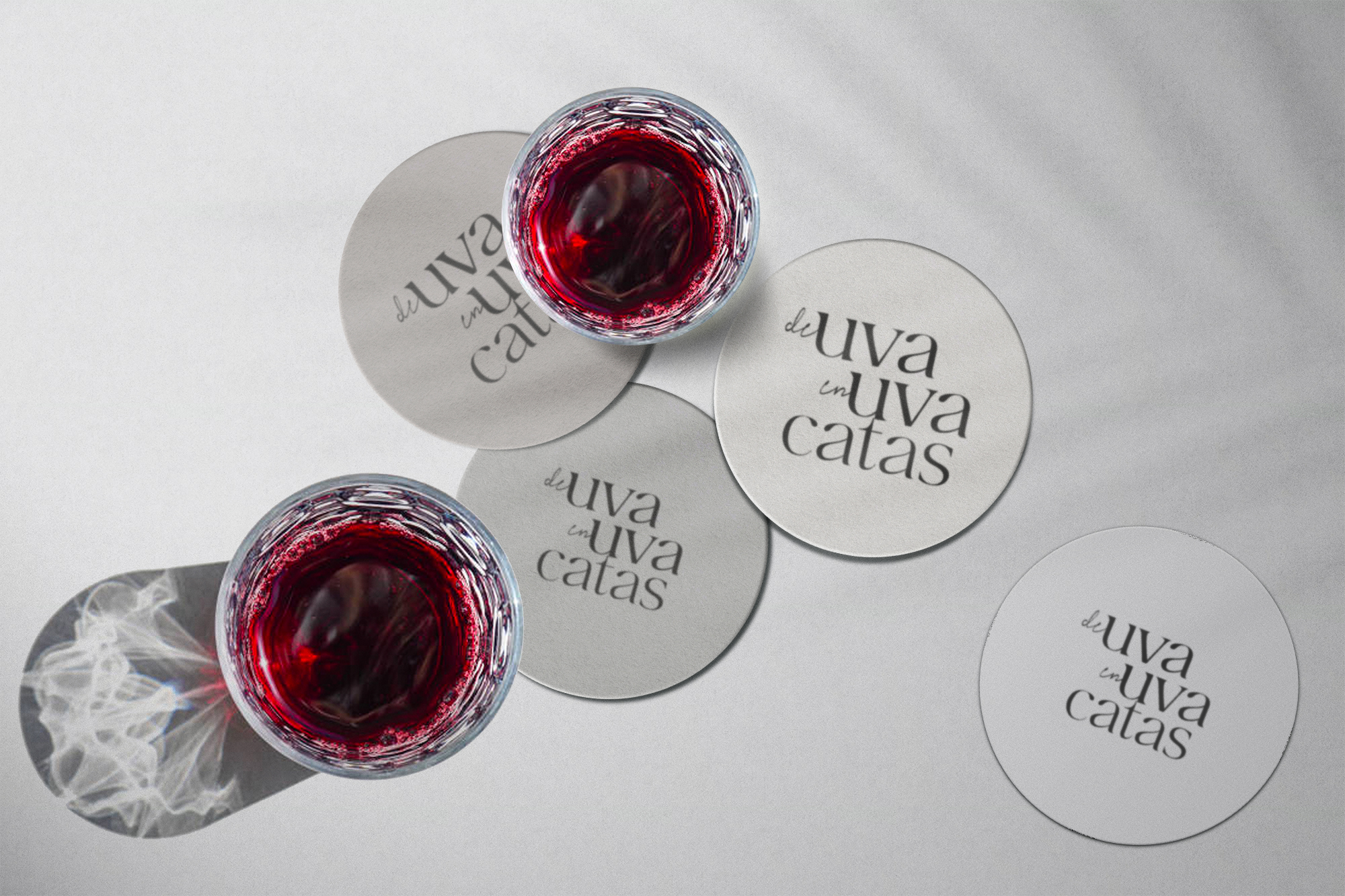 Francia Serrano Studio Proyectos