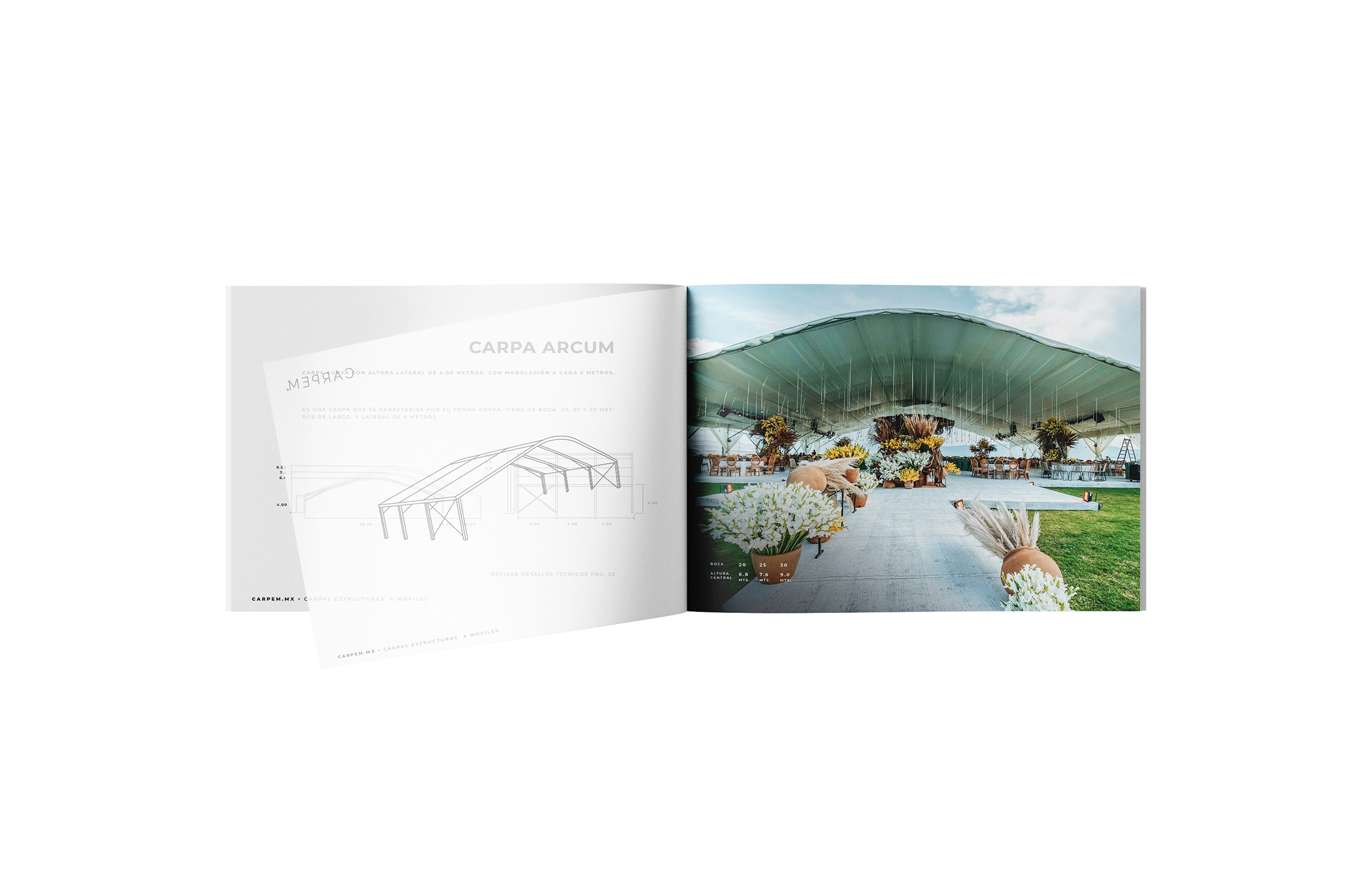 Francia Serrano Studio