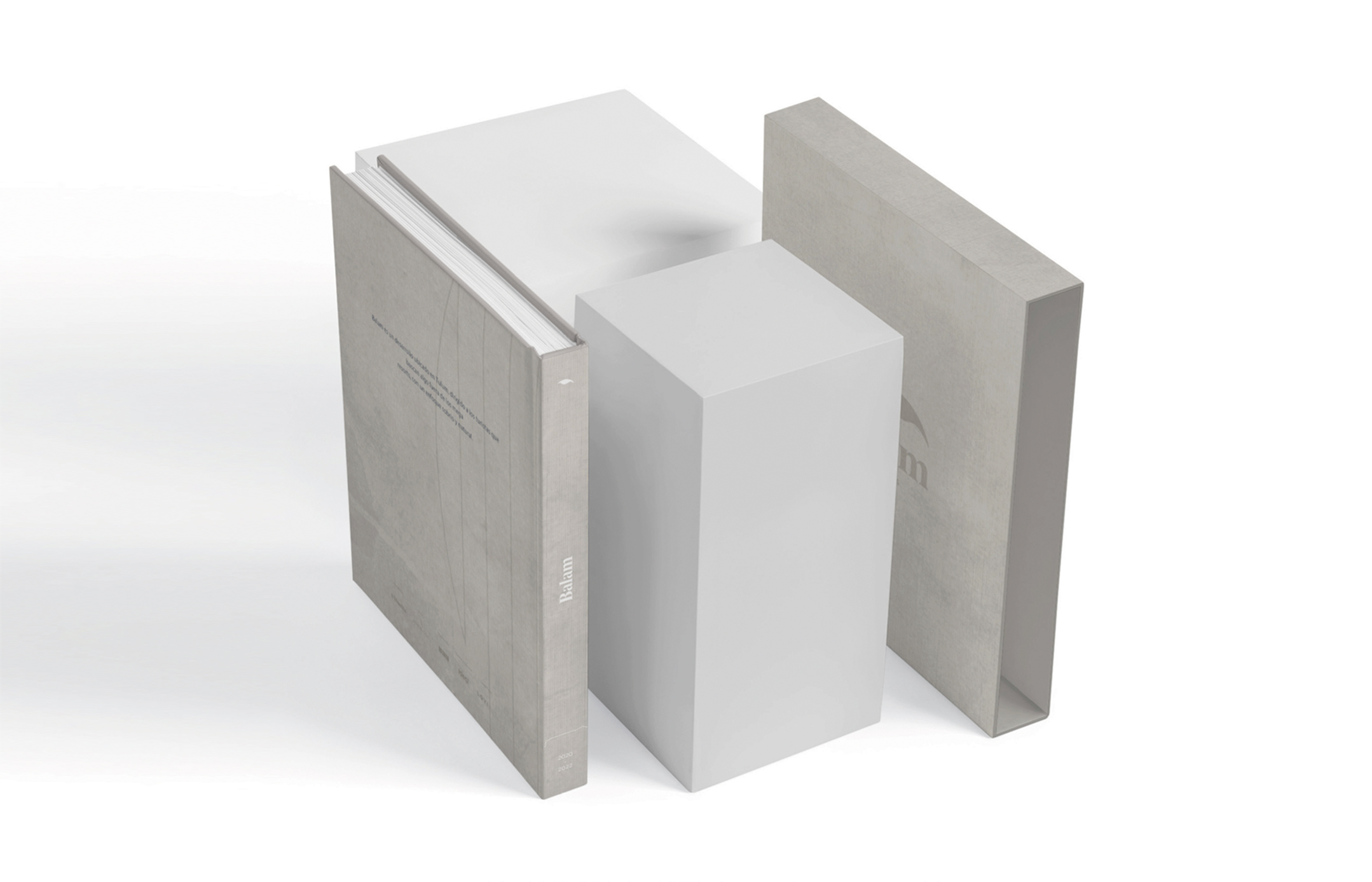 Francia Serrano Studio Portafolio Levy Holding Memoir